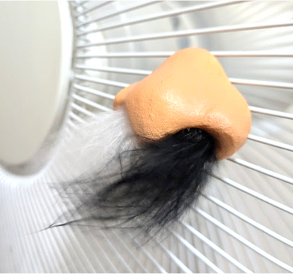 鼻型風鈴「伸び盛り」　扇風機飾り
